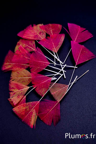 Blütenblätter aus Federn - 6-8 cm x 3-4 cm - curry-pink